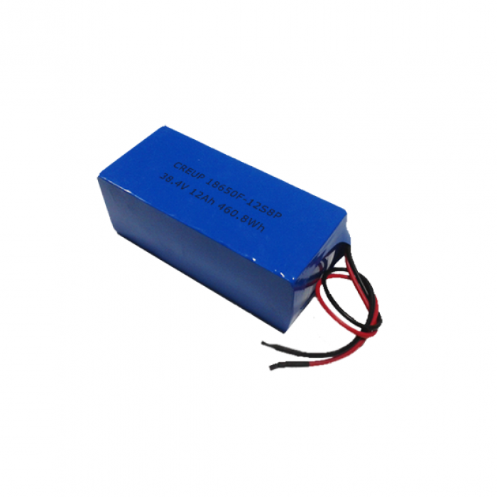 LiFePO4 Battery Pack 38121865FR