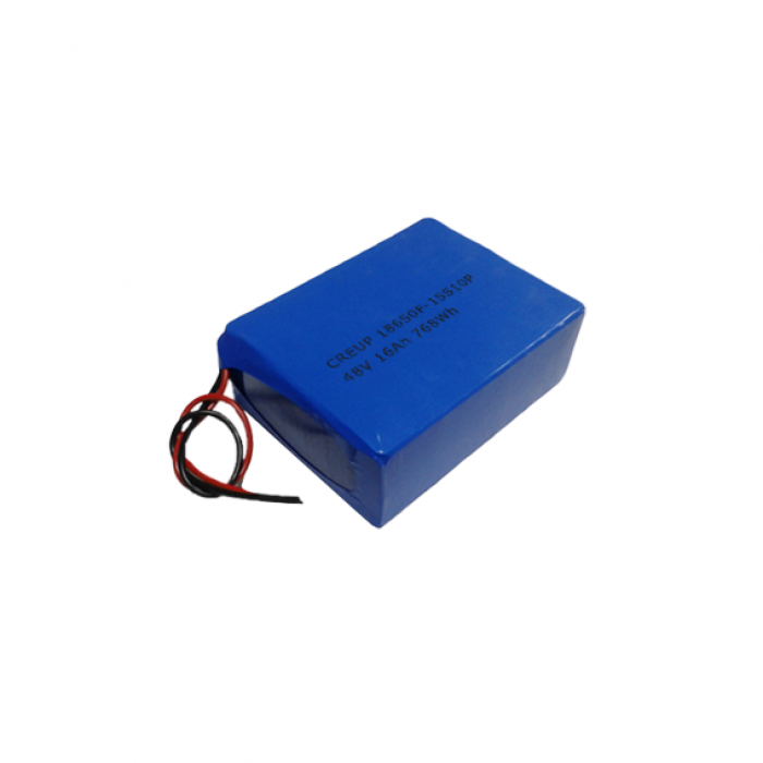 LiFePO4 Battery Pack 48161865FR