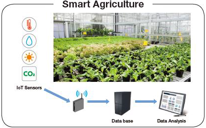 IoT Applications In Smart Agriculture